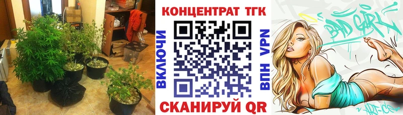 ТГК концентрат Рыбинск