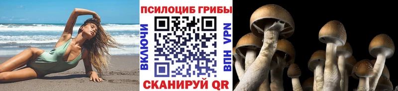 купить наркотик Рыбинск Псилоцибиновые грибы Psilocybine cubensis